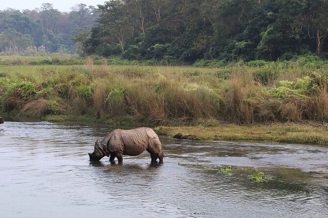 3 Days and 2 Nights Chitwan National Park Safari Tour in Pokhara - Reaching Chitwan from Pokhara