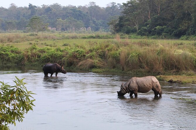 3 Days and 2 Nights Chitwan National Park Safari Tour in Pokhara - What the nature guide adds