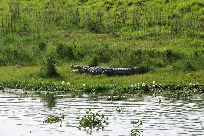 3 Days and 2 Nights Chitwan National Park Safari Tour in Pokhara - First afternoon in Sauraha: village life and a cultural show