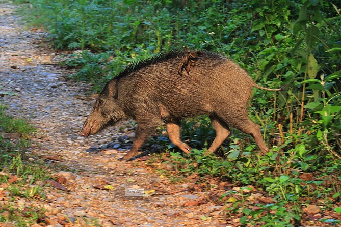 3 Days Jungle Safari in Chitwan National Park - Tharu village and the first Rapti River sunset