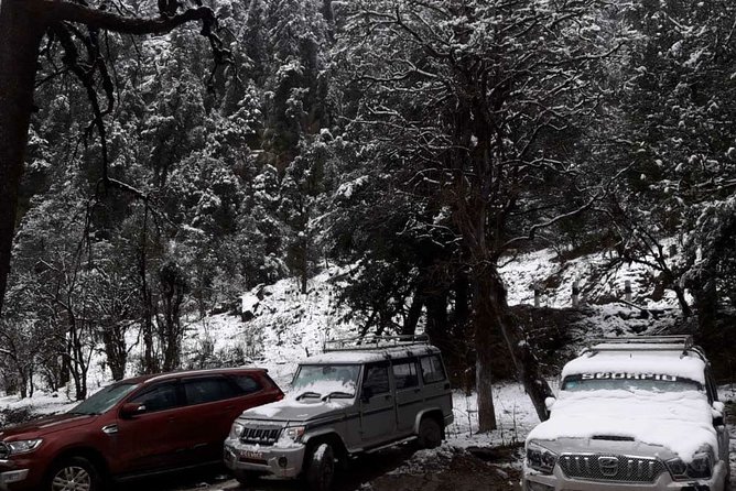 3 Days Kalinchowk Trekking from Kathmandu - Day 2: The short climb from Kuri to Kalinchowk