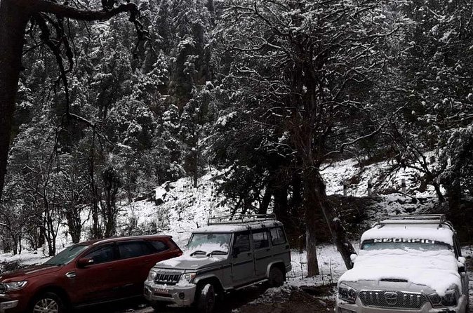 3 Days Kalinchowk Trekking from Kathmandu - What the $290 price really covers