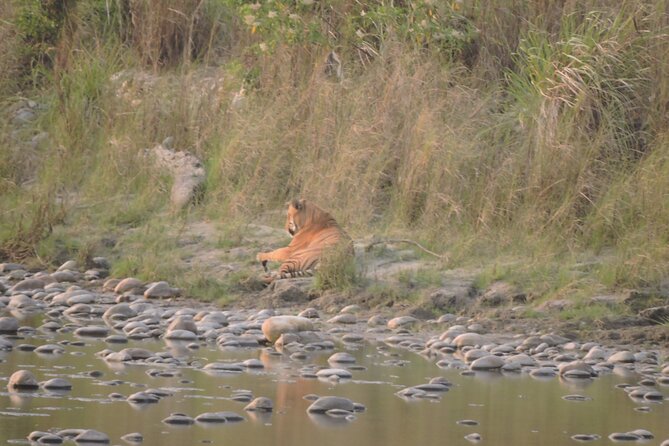 3 Nights 4 Days Bardia Tiger Tracking Tour | Bardia Jungle Safari - The cultural and conservation stops