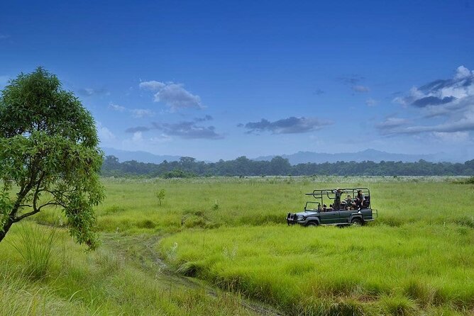 3 Nights 4 Days Chitwan National Park with Tower Night Stay - Why the tower night changes the Chitwan experience
