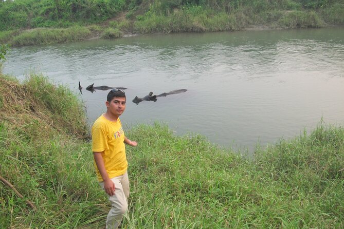 3 Nights 4 Days Chitwan National Park with Tower Night Stay - Day 4: Choosing Kathmandu or Pokhara