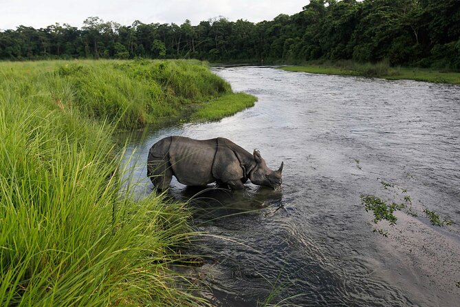 3 Nights 4 Days Chitwan National Park with Tower Night Stay - Food, rooms, and the practical side of the stay