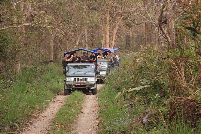 3 Nights 4 Days Chitwan National Park with Tower Night Stay - The guide makes the wildlife days better