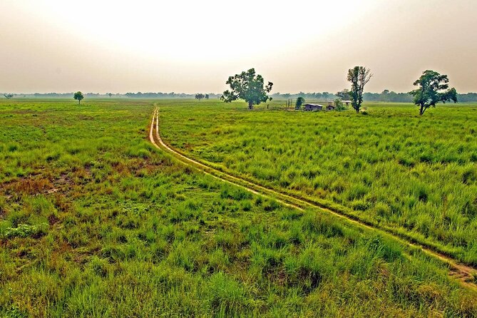 3 Nights 4 Days Chitwan National Park with Tower Night Stay - Day 1: Bus ride from Kathmandu or Pokhara to the Rapti River
