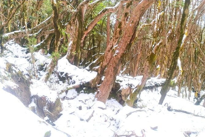 4 Day Mardi Himal Base Camp Trek from Pokhara - Why this short route works from Pokhara