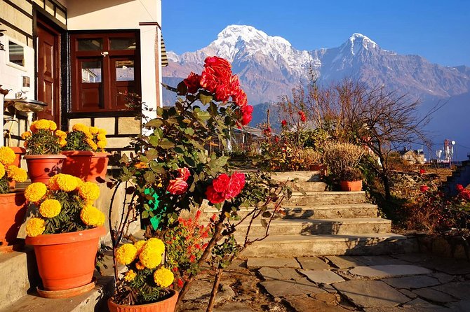4-Day Private Poon Hill Trekking Tour - Day four: Annapurna South, Hiunchuli, and the return to Pokhara