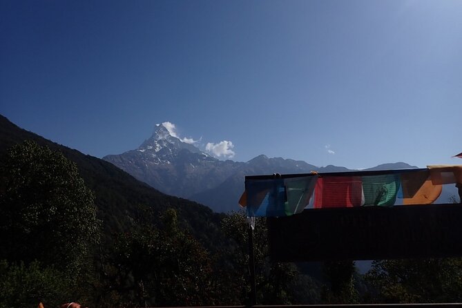 4 Days Mardi Himal Base Camp Trek from Pokhara - Day four: Low Camp to Siding Village and back to Pokhara