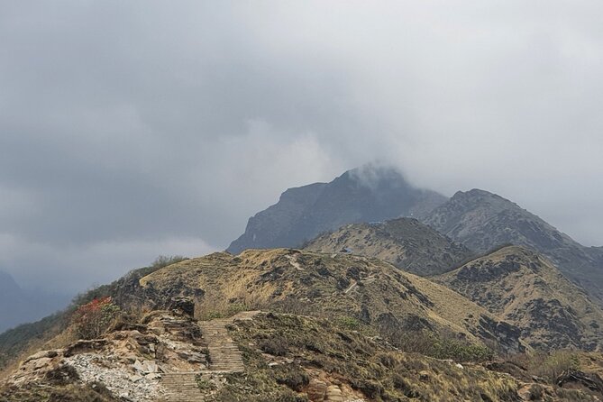 4 Days Mardi Himal Base Camp Trek from Pokhara - Day 2: Six hours through dense evergreen forest