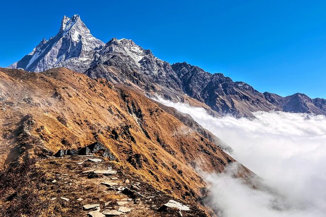4 Days Mardi Himal Base Camp Trekking in Pokhara - Day 3: The early walk to Mardi Himal Base Camp