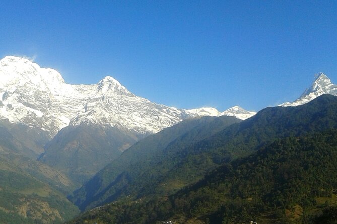 4 Days Mardi Himal Base Camp Trekking in Pokhara - Day 1: Kande to Forest Camp through Australian Camp