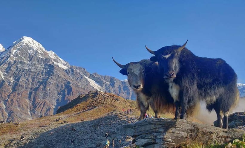 4 Days Pikey Peak Trek : The Best View of Mt Everest - The Sherpa villages are part of the reward