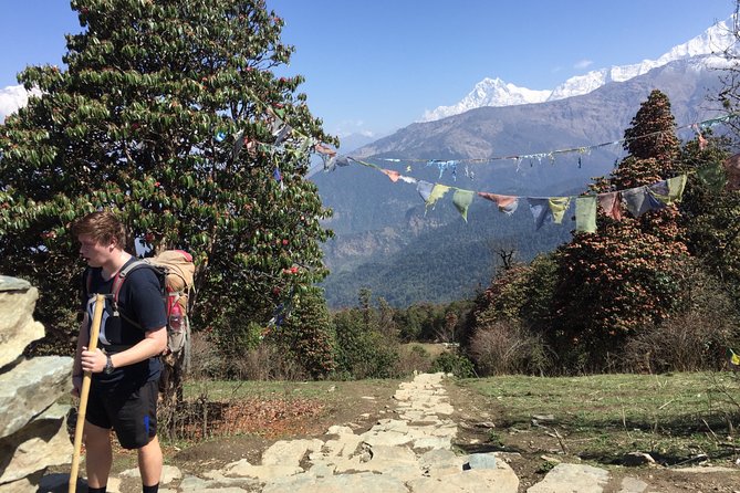 4 Days Poon Hill Trek from Pokhara - What the guide adds to a private trek