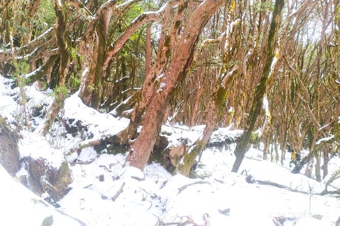 5 Day Mardi Himal Base Camp Trek in Pokhara - Day 1: Kande to Pitam Deurali and Australian Camp