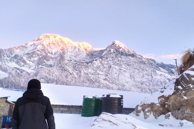 5 Day Mardi Himal Base Camp Trek in Pokhara - Day 4: High Camp to Mardi Himal Base Camp