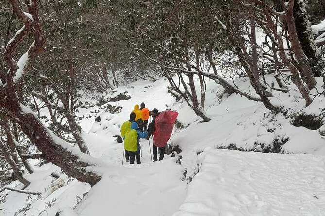 5 Day Mardi Himal Base Camp Trek in Pokhara - Guides, villages, and the human side of the route