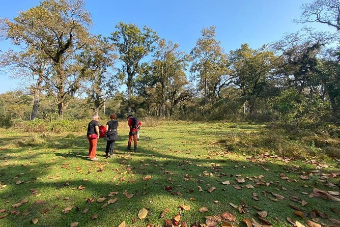 5 Day Private Guided Trekking in Annapurna Base Camp - Day 5: Forest descent, Siwai, and the return to Pokhara