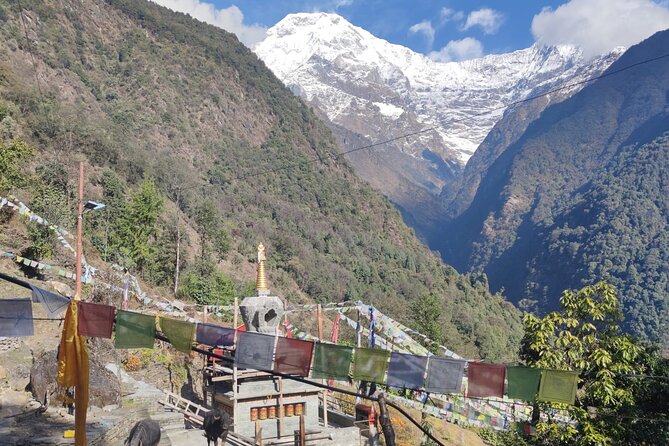 6 days Annapurna Basecamp Trek - Day 4: From Deurali to Annapurna Base Camp