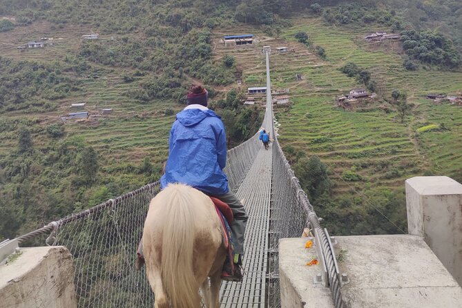 6 days Annapurna Basecamp Trek - Day 6: Back toward greenery and civilization