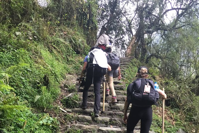 7 Days Annapurna Base Camp Trek from Pokhara - Day 1: Nayapul to Ghandruk in six hours