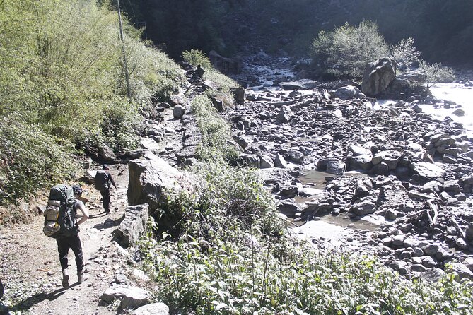 7 Days Langtang Valley Trek from Kathmandu - Day 3: Forest, chortens, and Langtang Lirung