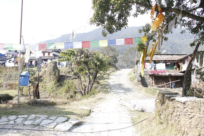 7 Days Langtang Valley Trek from Kathmandu - Day 6: Five hours back to Syabrubesi