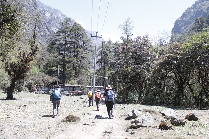 7 Days Langtang Valley Trek from Kathmandu - Day 7: The return road to Kathmandu
