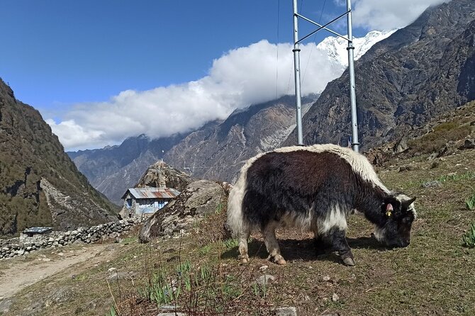 7 Days Langtang Valley Trek from Kathmandu - Day 1: Seven hours from Kathmandu to Syabrubesi