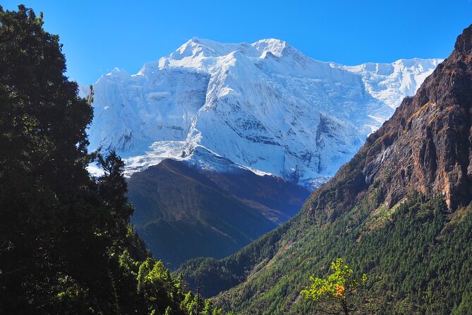 8 Days Private Guided Trekking in Annapurna Circuit with Pickup - Day 6: Toward Thorong High Camp at 4,450 meters
