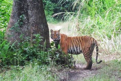 8 Days Tour in Nepal (Accommodation at 5 Star Hotel)