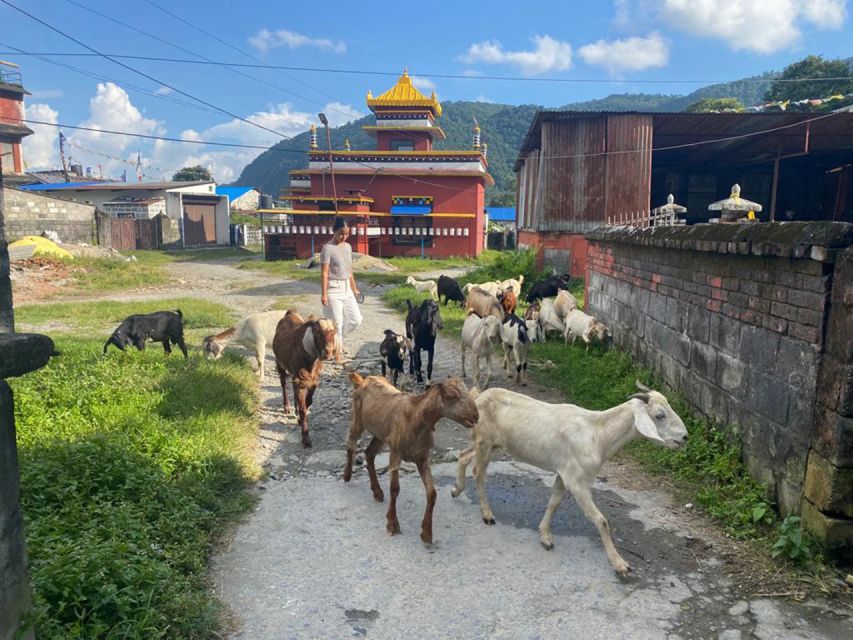 Afternoon Tibetan cultural tour - Why this tour adds something different to Pokhara