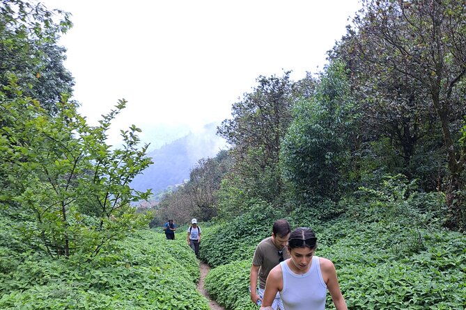 Amazing 1 Day Trekking Experience in Kathmandu Nepal - Ending at Taudaha Lake