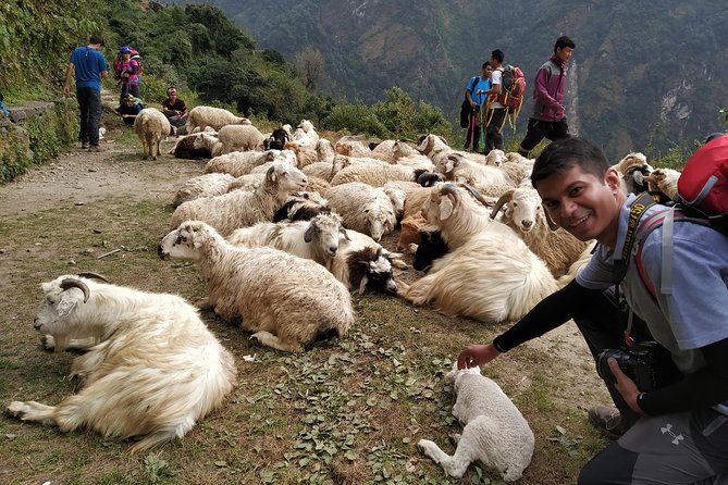 Annapurna: 2 Days 1 Night Poon Hill Trekking - Why two days at Poon Hill can work