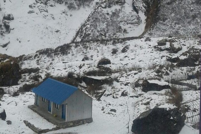 Annapurna base camp -9 days - Day 4: Sinuwa, rhododendron forest, and the Seti River