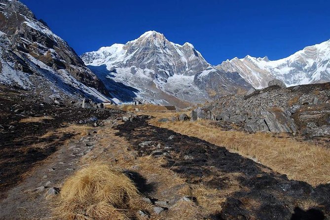 Annapurna Base Camp, Nepal 10 days - Day 6 reaches Machhapuchhre Base Camp and Annapurna Base Camp