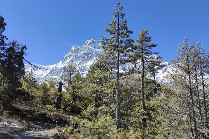 Annapurna Base Camp Trek - 10 Days - Key details before you book