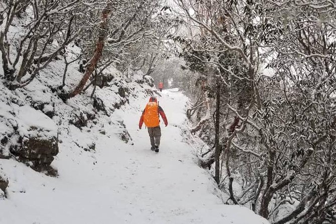 Annapurna base camp trek 5 Days - What the $699 package really covers