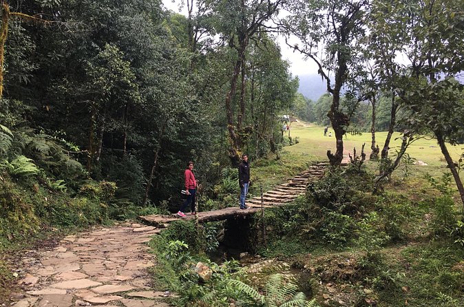 Australian Camp and Dhampus easy hiking - Who Will Enjoy This Easy Hike?
