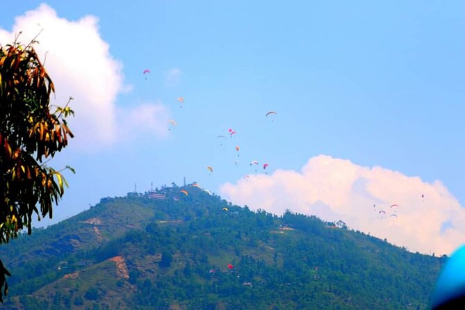 Best Nepal Tour: Kathmandu Pokhara Chitwan Tour - Chitwan’s forests, rivers, and wildlife