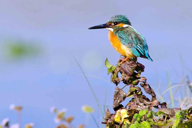 Best of Nepal Luxury Adventure Tour Package - 9 Days - Nepal in Nine Days: The Main Points