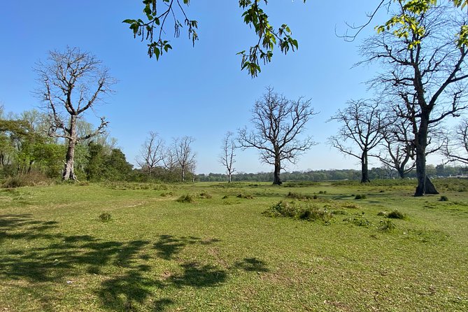 Canoeing and Nature Walk in Chitwan National Park - A short, useful introduction to Chitwan