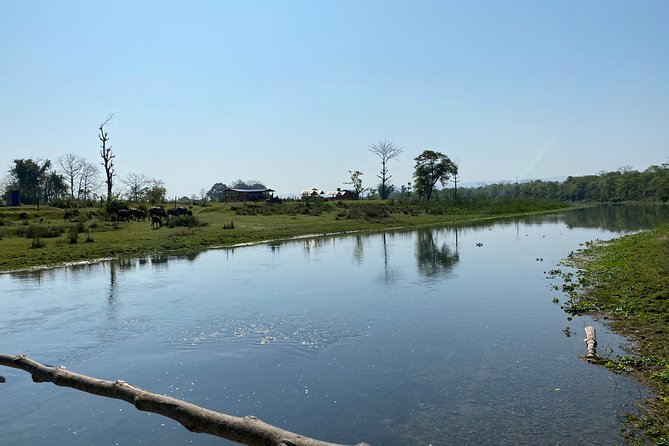 Canoeing and Nature Walk in Chitwan National Park - Wildlife hopes without false promises