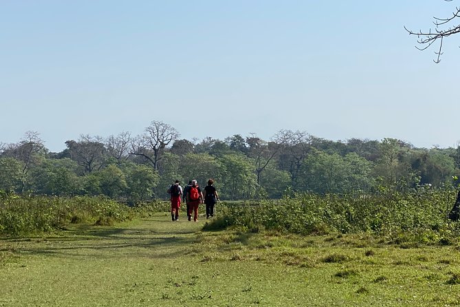 Canoeing and Nature Walk in Chitwan National Park - The Rapti River canoe ride