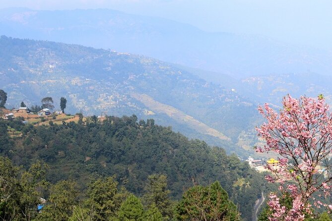 Changunarayan Hill to Telkot Hike Near Kathmandu Day Tour - The suspension bridge and return to Kathmandu