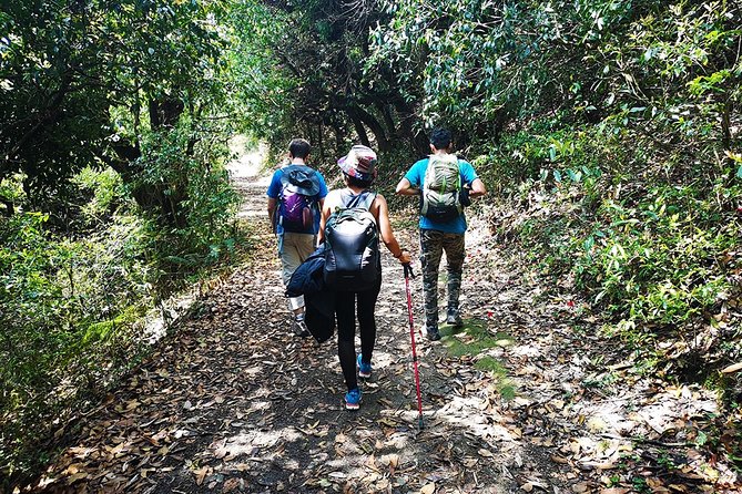 Chisapani - Nagarkot Trek Nepal - 3 Days - Should you book the Chisapani to Nagarkot trek?