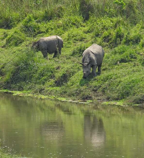 Chitwan: Full-Day Safari Canoeing and Jungle Walk and Jeep - The one-hour Rapti River canoe ride