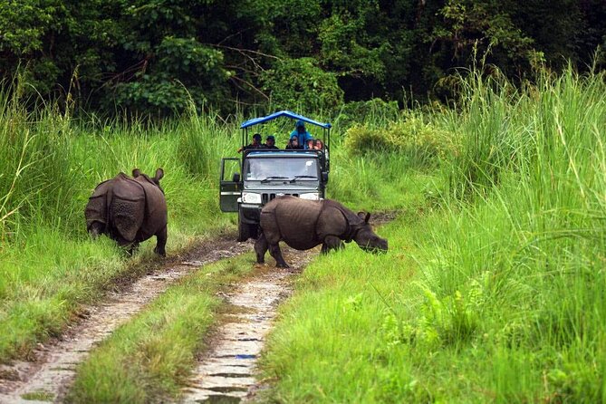 Chitwan Jungle Safari 3-Day Tour - What the $38 price really covers